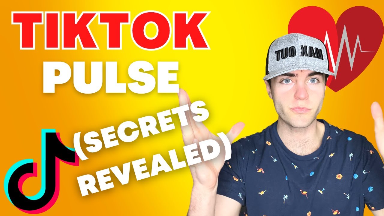 What is TikTok Pulse? (TikTok Creators Avenue To More Revenue!)